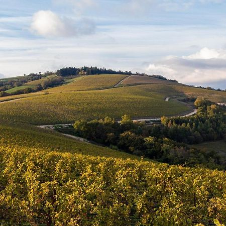 Ca' Del Moro Wine Retreat Hotel Грецана Екстериор снимка