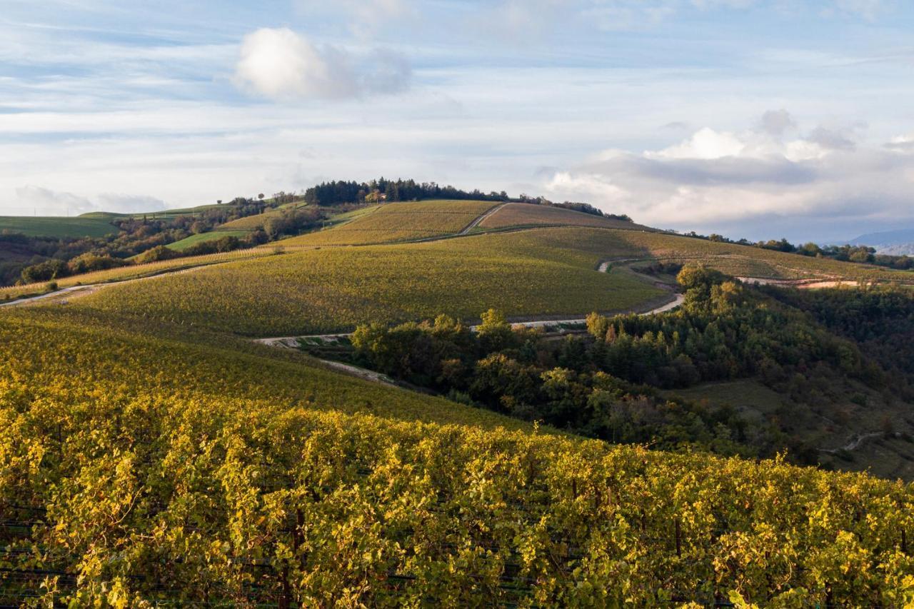 Ca' Del Moro Wine Retreat Hotel Грецана Екстериор снимка
